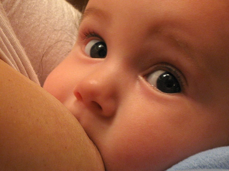 El mejor alimento para tus hijos leche