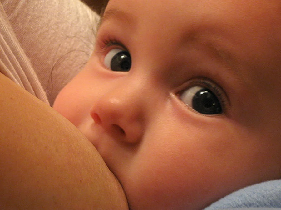 El mejor alimento para tus hijos leche