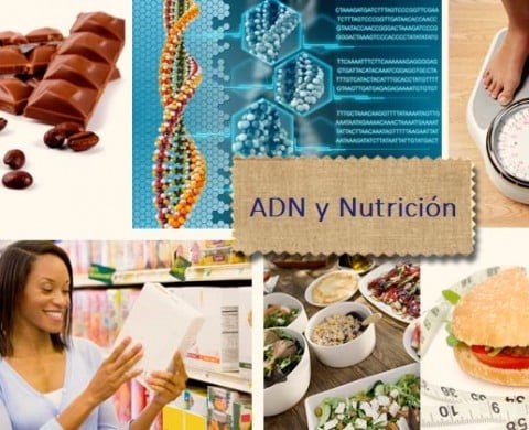 Dieta personalizada en base a tu ADN