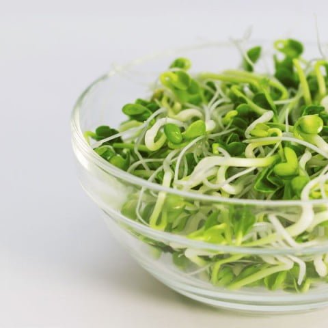 Qué nos dicen las dietas alcalinas