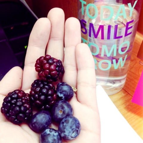 El color de los ANTIOXIDANTES