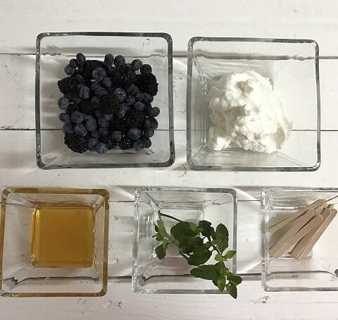 PALETAS HELADAS DE YOGURT, MIEL Y FRUTA